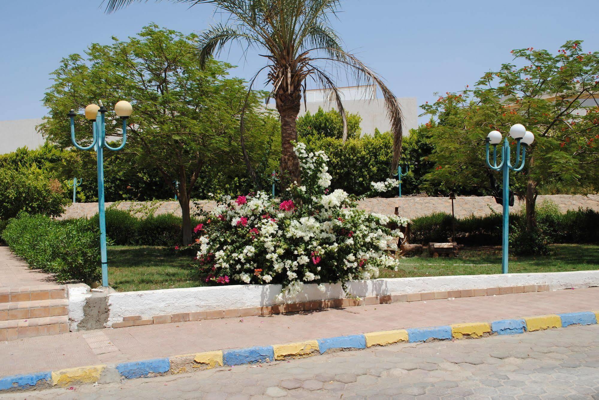 Sharm Cliff Resort Εξωτερικό φωτογραφία